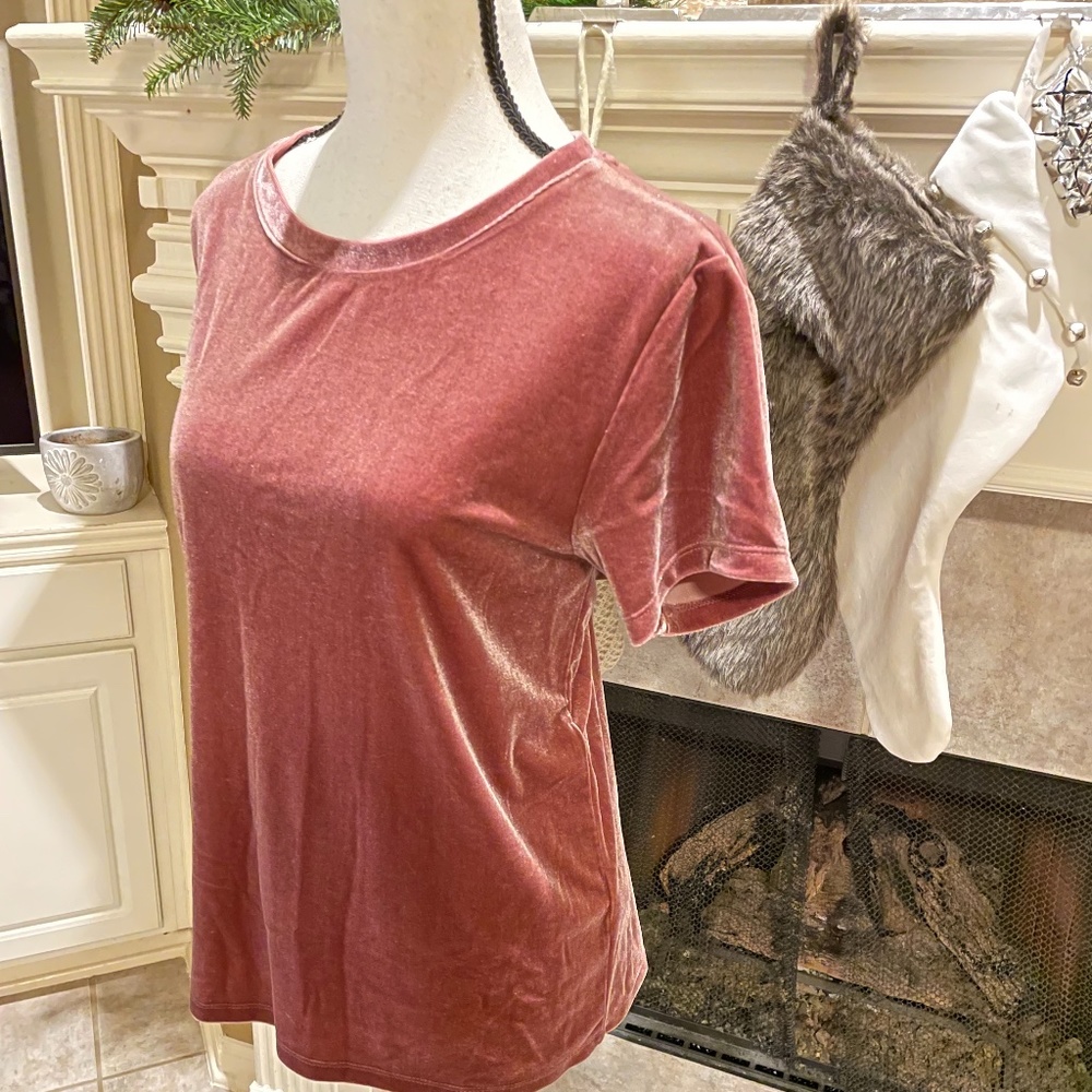 Abercrombie & Fitch Rose Colored Crushed Velvet Short Sleeve Top (Size M)